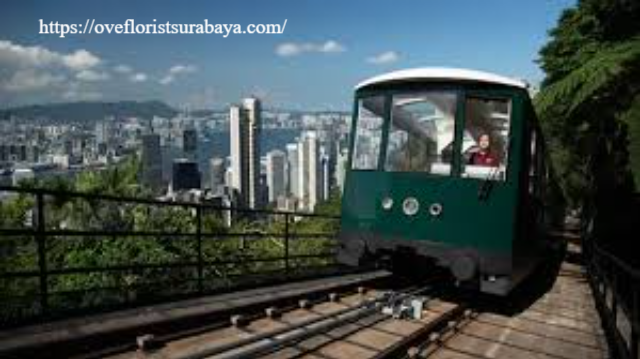 Pengalaman Wisata Baru di Hong Kong