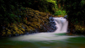 Tempat Wisata di Sentul untuk Melepas Penat